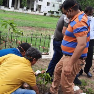 Environment Day (10)