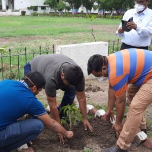 Environment Day (11)