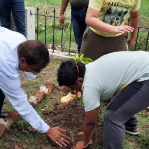 Environment Day (16)