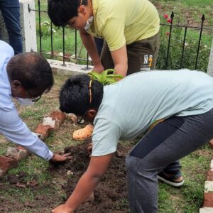 Environment Day (2)