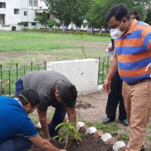 Environment Day (5)