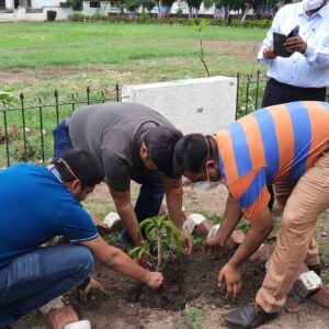 Environment Day (8)